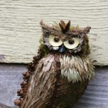 Detail-Sacred Owl